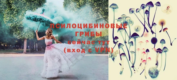 Альфа ПВП Алзамай