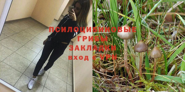 бошки Абдулино