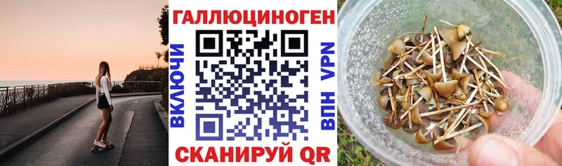 ОМГ ОМГ онион  Киренск  маркетплейс состав  Галлюциногенные грибы GOLDEN TEACHER 